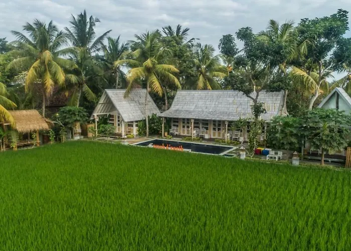 Omah D'sepih ゲストハウス